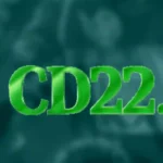 CD22 Game online slot gaming platform interface with virtual games, bonuses, and rewards for Pakistani players.